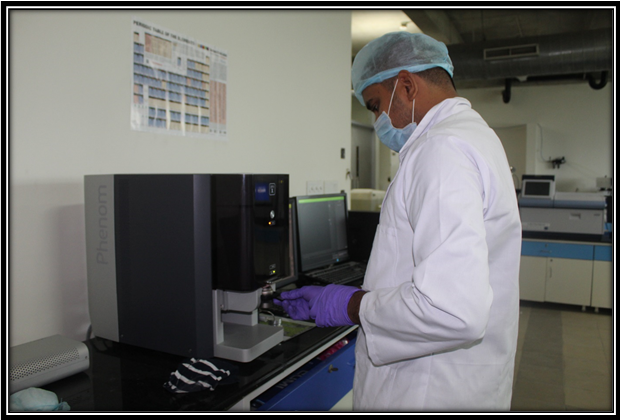 Scanning Electron Microscope